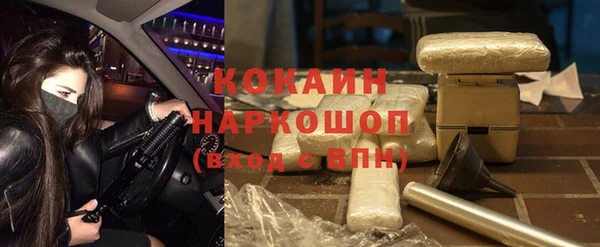 бошки Алексин
