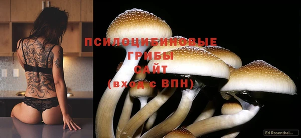 бошки Алексин