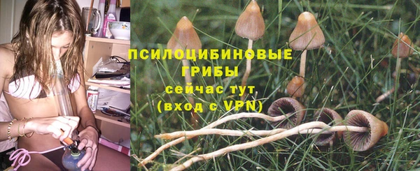 дмт Алексеевка