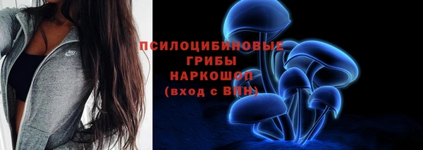 бошки Алексин