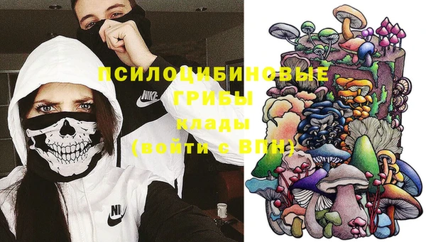 молекула духа Алзамай