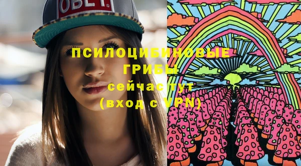 молекула духа Алзамай